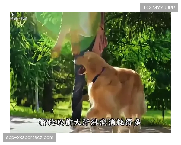 常园家的狗都比你自律